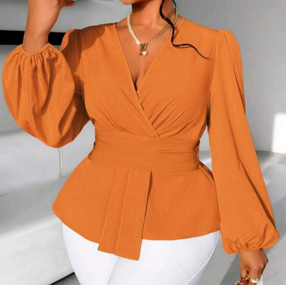 Lantern Sleeve Ruched Elegant Blouse